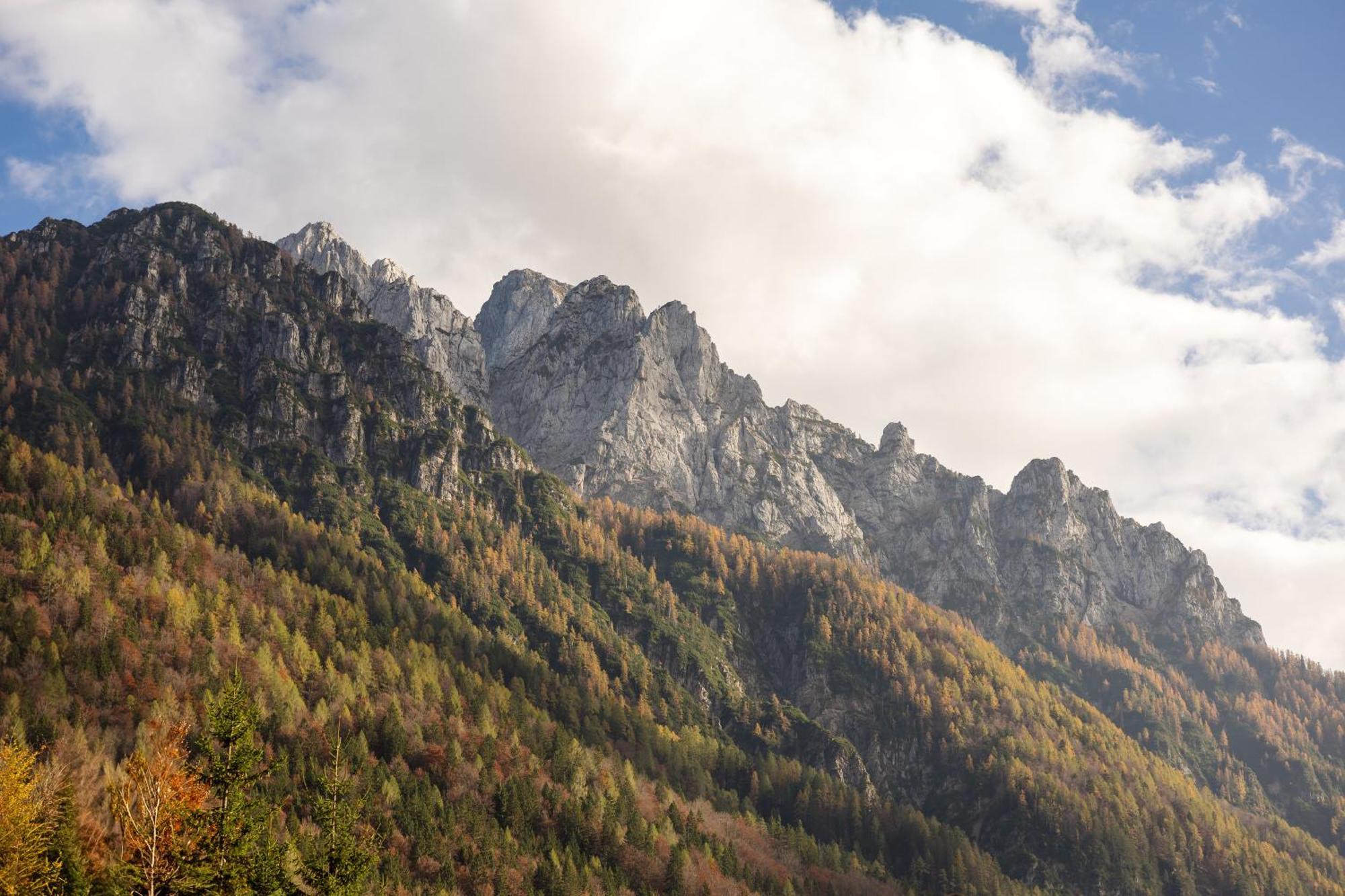 Вилла Chalet Jasna Краньска Гора Экстерьер фото